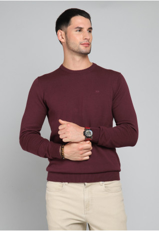 Sweater Cuello Redondo Arrow