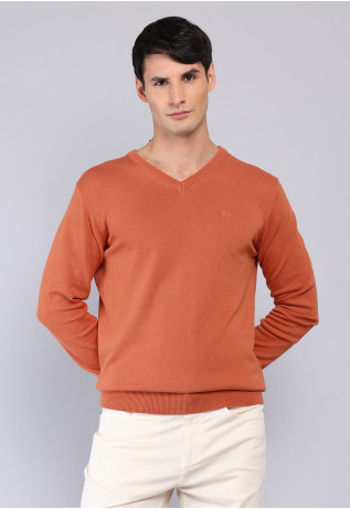 Sweater Cuello V Arrow