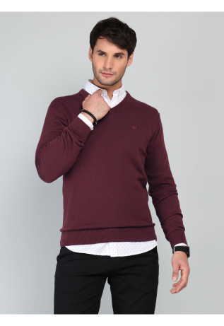 Sweater Cuello V Regular...